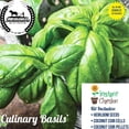 thumbnail image 2 of Culinary Basil Indoor Seed Starter Kit - Non-GMO, Heirloom Basil Seeds with 6-Pack Coconut Fiber Grow Kit and Coco Coir Soil Pucks by Sustainable Seed Company, 2 of 2