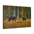 thumbnail image 4 of Spring Forest Bears Nature Wilderness Photography Canvas Wall Art for Home Decor Ready-to-Hang, 4 of 7