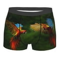 thumbnail image 4 of Goofa Hybrid Parrot in the Forest Printed Men's Boxer Briefs Underwear, Moisture-Wicking Underwear, Trunk,Soft and Breathable Cotton Underwear-X-Large, 4 of 9
