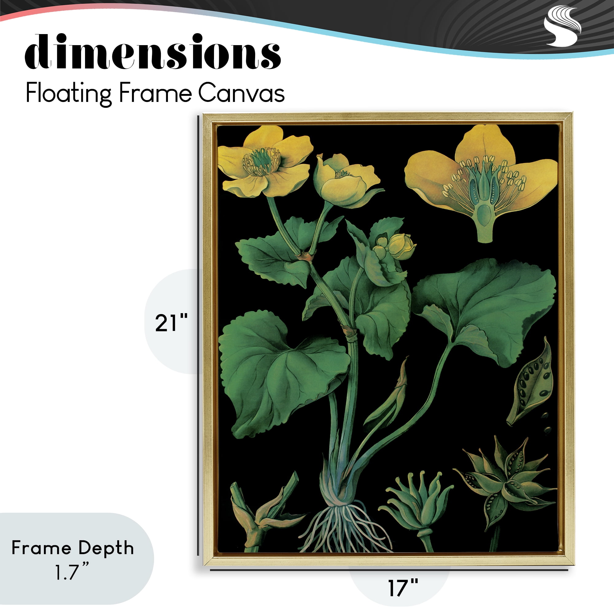 Stupell Industries Marsh Marigold Illustration Study Gold Framed Floater Canvas Wall Art, design by Vintage Hustle