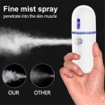 thumbnail image 4 of Decodeary USB Sprayer Water Mist Handheld 30ml Moisturizing Steamer Skin Care Beauty Humidifier And Alcohol Spray No.01, 4 of 6