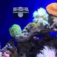 thumbnail image 4 of Support à Franges Double Couche Support de Culture Corail Support Fluorescent Corail, 4 of 5