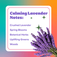 thumbnail image 2 of Citrus Magic Auto Odor Eliminating Spray and Solid Air Freshener Bundle, Calming Lavender, 2 of 6