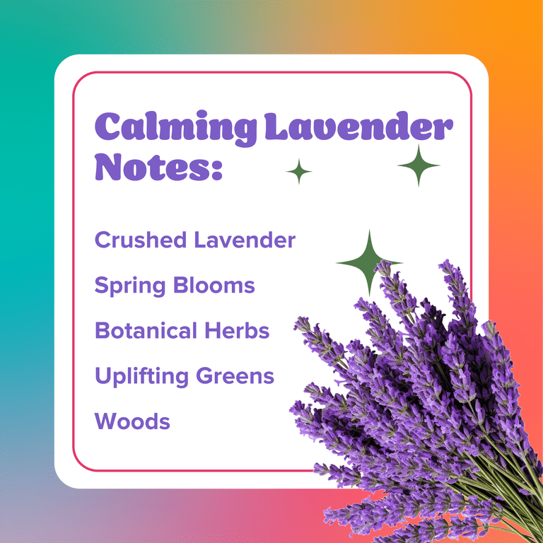 Citrus Magic Auto Odor Eliminator Bundle, Calming Lavender photo 2