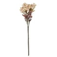 thumbnail image 4 of Vickerman 25.5" Cream Artificial Primrose Flower Spray, 3 per bag., 4 of 4