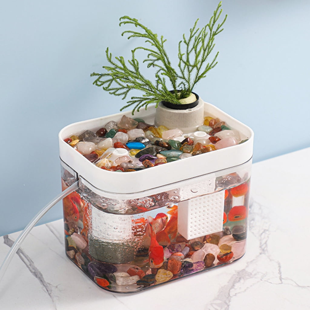 Simple Clear Aquarium With Integrated USB Oxygen Pumps Systems Great For Home and Office Use Easy to Use Fish Bowl