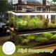 thumbnail image 4 of unbranded 10Ud Transparentes Flotantes Para De Acuario Con Rellenable, 4 of 7