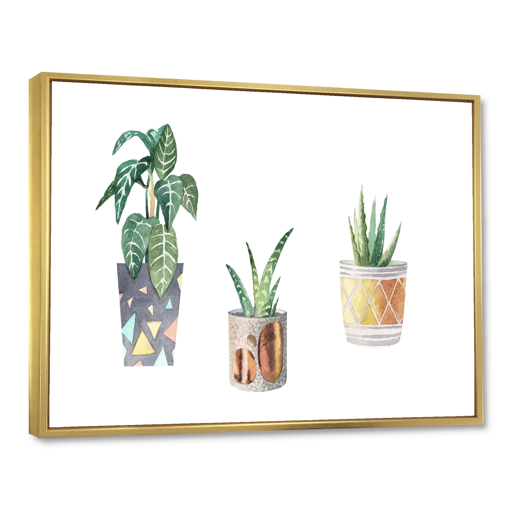 Designart 'Three Potted Houseplants On White' Traditional Framed Canvas Wall Art Print