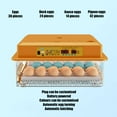 thumbnail image 3 of Yolispa 36 Egg Incubator with Automatic Turning, Humidity & Temperature Control, Egg Candler for Chicken & Bird Eggs, 3 of 8