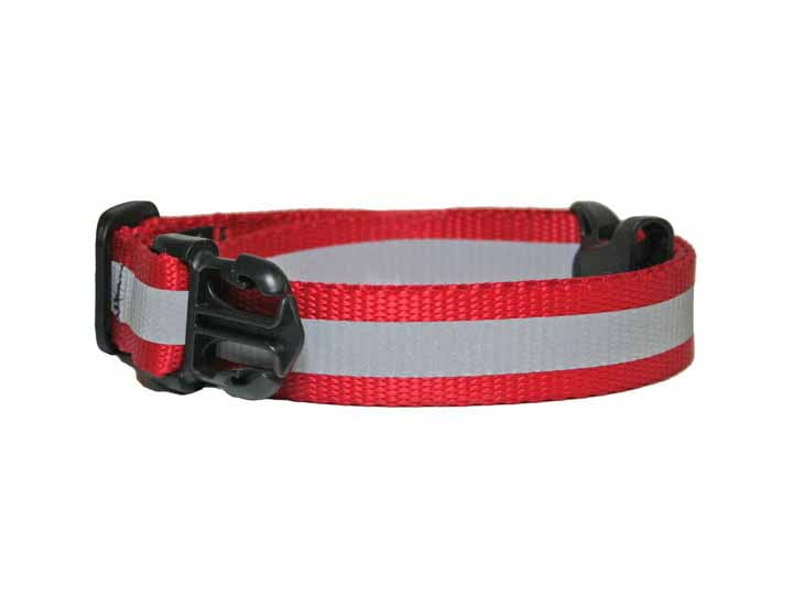 the buddy system leash
