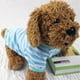 thumbnail image 4 of Ropa para Mascotas Camisa a rayas de cuello redondo para perros Ropa para mascotas Ropa para perros pequeños estilo coreano, 4 of 5