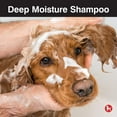 thumbnail image 2 of CHI Deep Moisture Shampoo for Dogs, Moisturizing Formula for Dogs with Dry Skin, 16 oz, 2 of 6