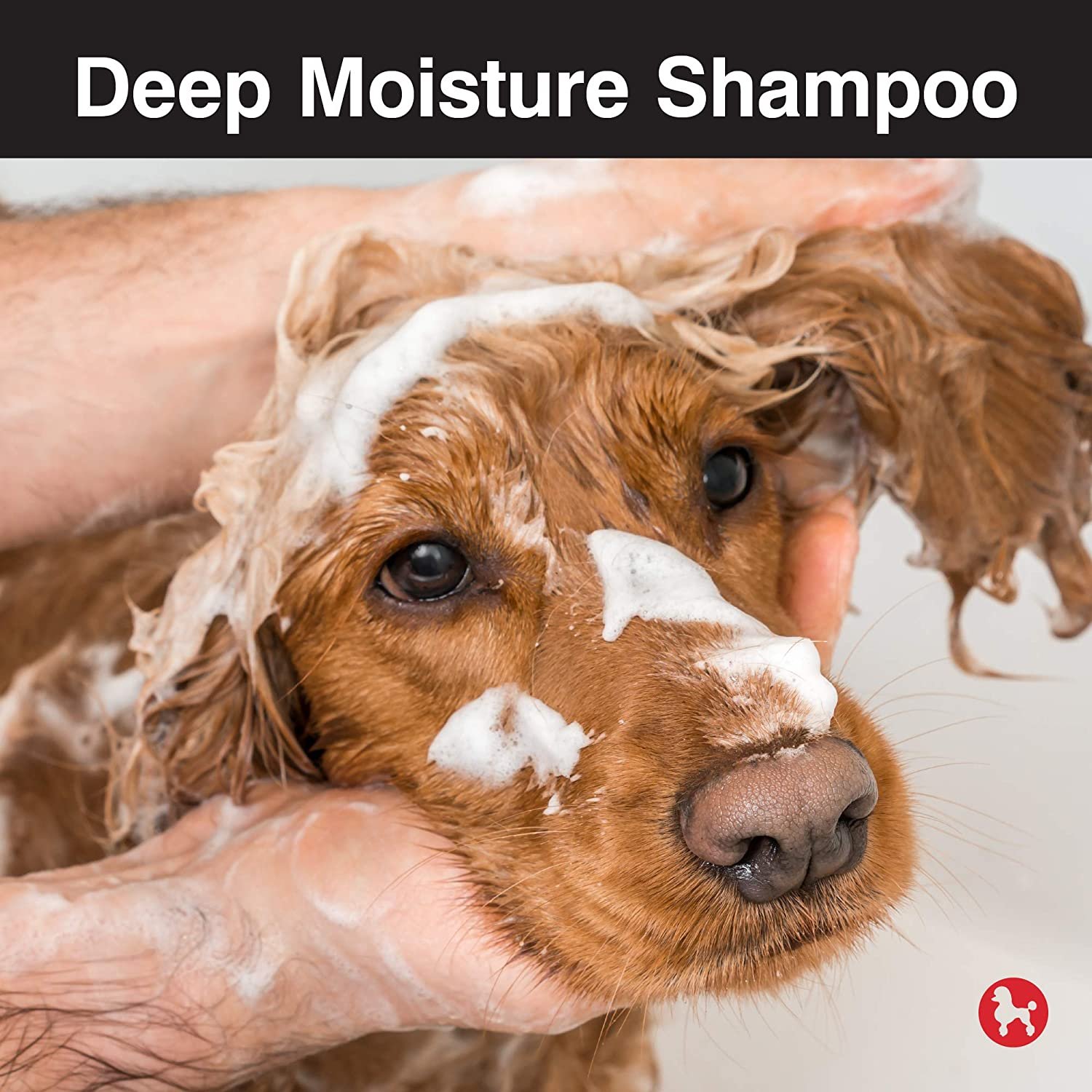 CHI Deep Moisture Shampoo for Dogs, 16 oz photo 2