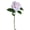 Pink, variant on Realistic Touch Artificial Roses with Moist Feel, PU, for Home Decor & Weddings