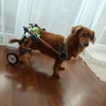 thumbnail image 5 of Small Pet Dog Wheelchair, Walking Assisted Wheelchair Car, 5 of 7