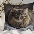 thumbnail image 4 of Bonita funda de almohada de gato con cremallera oculta | Funda de cojín decorativa de nailon suave y elastano para dormitorio, sala de estar y sofá | Un regalo ideal para mujeres, niños y amantes de, 4 of 6