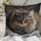 thumbnail image 4 of Uuiauoio Cat Pillow Covers 18x18, Cats Lovers Lady Gifts, Cat Gifts for Mom Mother's Day, Cats Decorative Pillow Covers for Home Bedroom Living Room Office Decor, 4 of 6