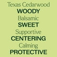 thumbnail image 4 of Plant Therapy Texas Cedarwood Essential Oil 30 mL (1 oz) 100% Pure, Undiluted, Natural Aromatherapy, 4 of 8
