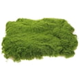 thumbnail image 5 of SWETRACE Sand Table Lawn Model Fake Grass Green 1Pack for DIY Home Decor, 5 of 8