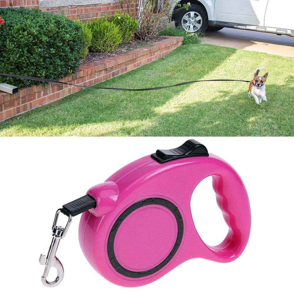dual retractable dog leash