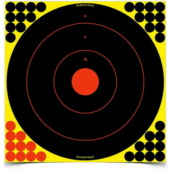 Birchwood Shoot-N-C 17.25" Bull's-Eye, 5 Targets, 200 Pasters