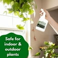 thumbnail image 4 of Cedarcide All-Purpose Bug Spray - Peppermint (Pint) | Insect Repellent For People, Plants, Homes, and Pets | Made with Pure Essential Oils and Plant-Based Ingredients, 4 of 6