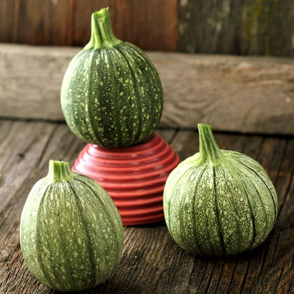 Round Zucchini Seeds - 4 g ~33 Seeds - Heirloom, Open Pollinated, Non-GMO, Farm & Vegetable Gardening Seeds - Summer Squash