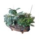 thumbnail image 5 of Billuyoard Macetas grandes de ABS, flores, macetas elegantes de interior, platillos y suculentas de interior con platillos, maceteros para Jardín y Patio, 5 of 6