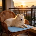 thumbnail image 7 of Cooling Mat for Dogs Cats Portable Pet Cooling Pad Non Slip Washable Large Puppy Ice Pad for Crate Sofa Floor Hot Weather Relief, 7 of 7