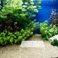 thumbnail image 1 of WEUVEB Para Acuario Transparente Con Natural Para Refugio De Peces Y Camarones, 1 of 8