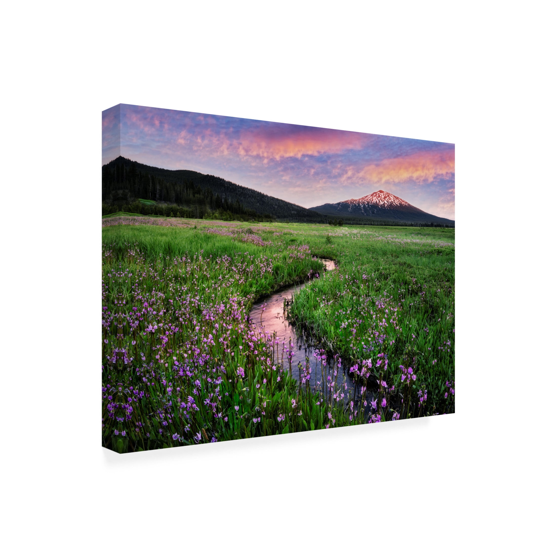 Canvas Wall Art - Dennis Frates 'Sparks Lake Meadow And Mt Bachelor' Wall Art for Living Room, Bedroom, or Office Décor by Trademark Fine Art - 19 x 14 Inches