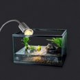 thumbnail image 2 of Lizard Lamp for Exotic Pets, Full Spectrum Solar Light &amp; Enhanced Calcium Absorption, Vacuum Glass Construction Ensures Durability &amp; Safety (Pack of 3), 2 of 5