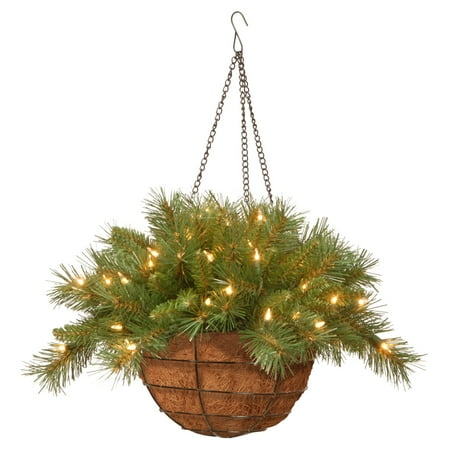 National Tree 20" Tiffany Fir Hanging Basket with 50 Warm White LED Battery Lights with Timer
