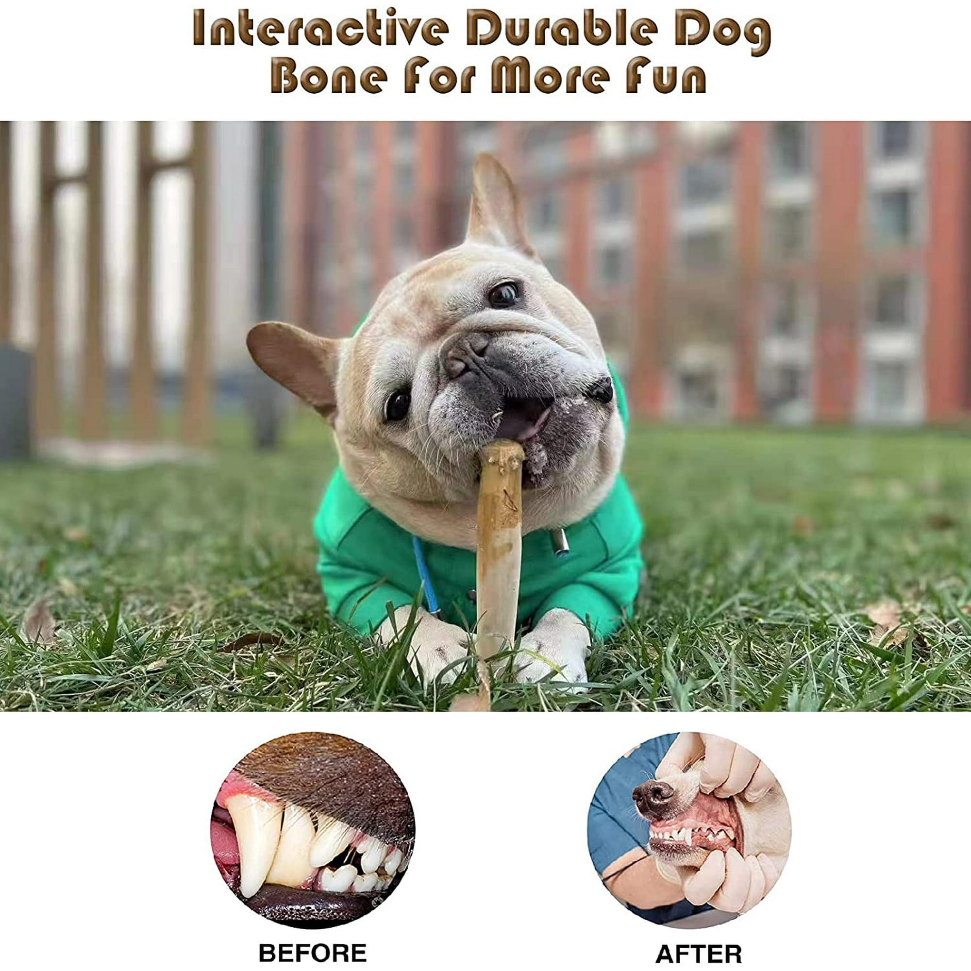 Dog toy wood stick hotsell