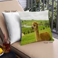 thumbnail image 1 of Ahgly Company Animals Llama Oreiller Extérieur 18 Pouces par 18 Pouces, 1 of 6