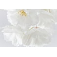 thumbnail image 2 of Mahan, Kathy 32x23 White Modern Wood Framed Museum Art Print Titled - White Cherry Blossoms II, 2 of 4