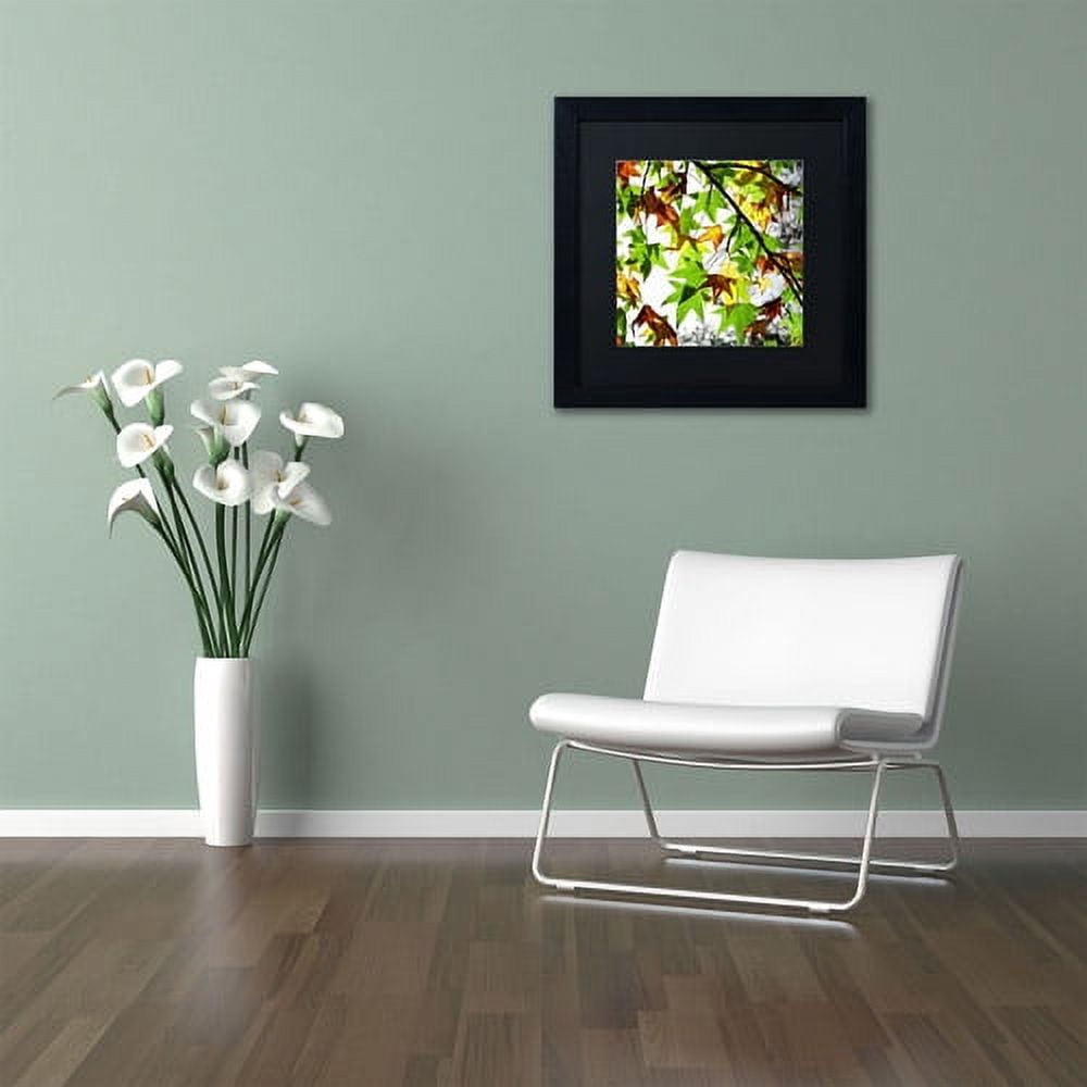 Trademark Fine Art "First Signs" Canvas Art by Beata Czyzowska Young, Black Matte, Black Frame