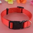thumbnail image 3 of Chien Chiot Chat Sécurité Collier en Nylon Mode Boucle Cou Collier, 3 of 8