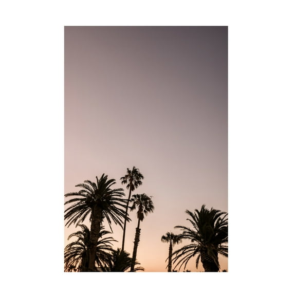 Trademark Fine Art Shot by Clint Palm Point Canvas Wall Art