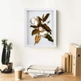 thumbnail image 5 of DEMAIKE 8x10 Shadow Box Frame Wood 3D Picture Frame with Glass Cover, Display Case with Mat for Wall-Hanging or Free-Standing Picture Showcase, White, 5 of 7