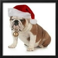 thumbnail image 2 of Christmas Dog  English Bulldog Wearing Santa Hat Holding Christmas Bell, Animals Seasons Framed Art Print Wall Art by Willee Cole Sold by Art.Com, 2 of 6