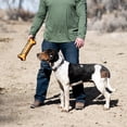 thumbnail image 4 of Browning Pet Training Tool, Durable Dog Toys for Tug and Fetch, Canvas Bone (Browning Gold), Large, 4 of 4