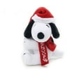 Holiday Time Snoopy Friend Clip Astm
