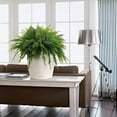 thumbnail image 3 of Lechuza Classico Self-Watering Polypropylene Indoor/Outdoor Planter, 3 of 8
