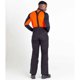 thumbnail image 2 of Dare 2B - Pantalones de Esquí Standfast para Hombre (Negro) Dare 2B UTPC4574_black, 2 of 2