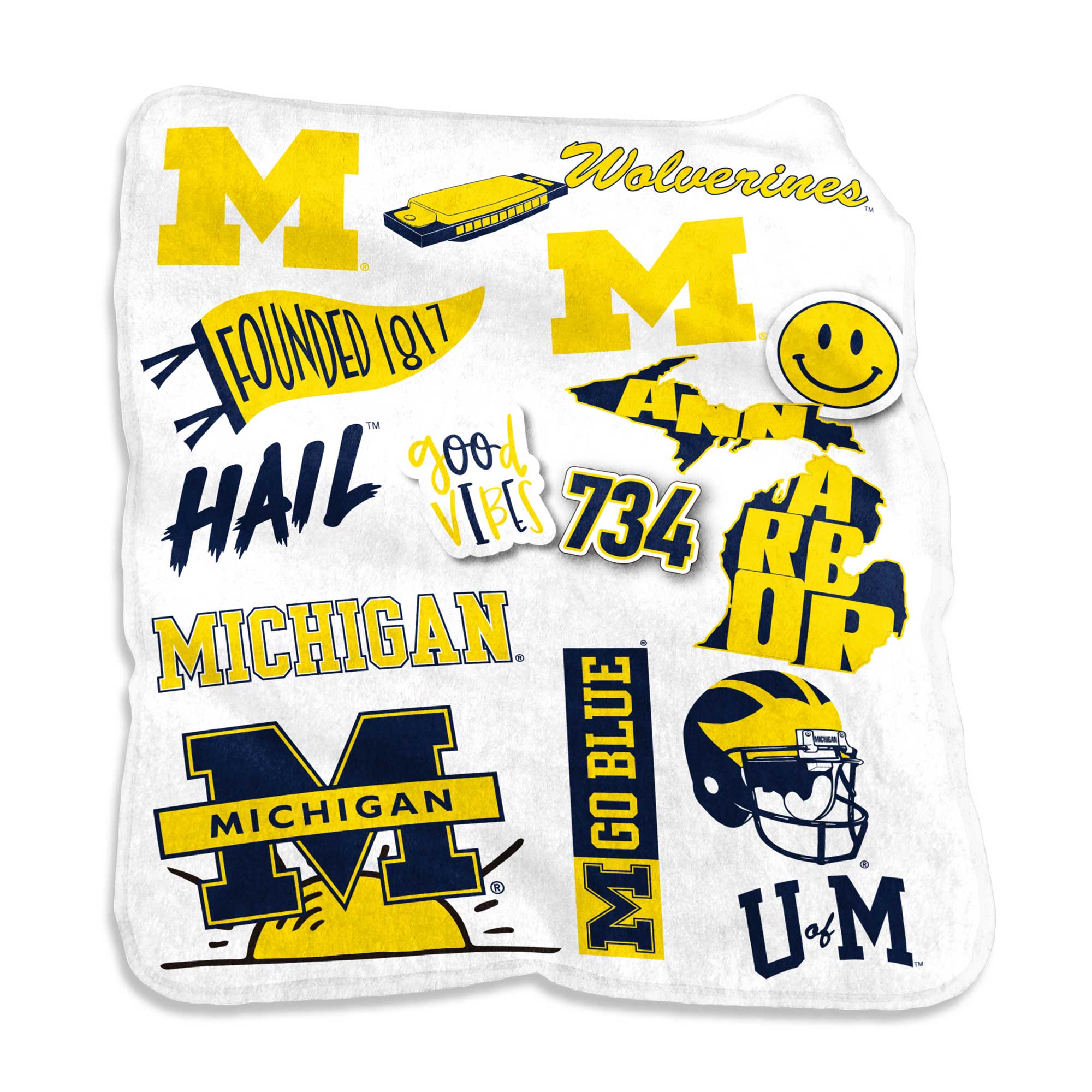 Cuscino Decorativo Northwest NCAA Michigan State Spartans – 50x50 Cm, Jacquard Double-Face, Ufficiale