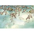 thumbnail image 4 of Komar 8-213 Murale Sakura, 4 of 8