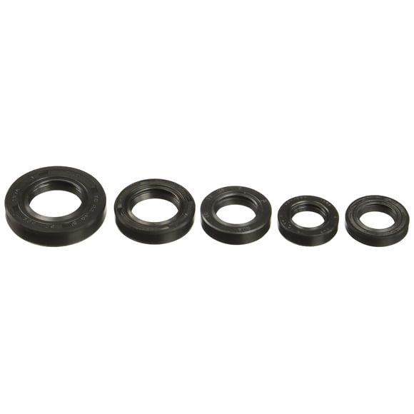 Winderosa 822181 Engine Oil Seal Kit