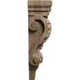thumbnail image 3 of Ekena Millwork 3"W x 1 3/4"D x 6"H Extra Small Acanthus Pilaster Wood Corbel, Walnut, 3 of 4