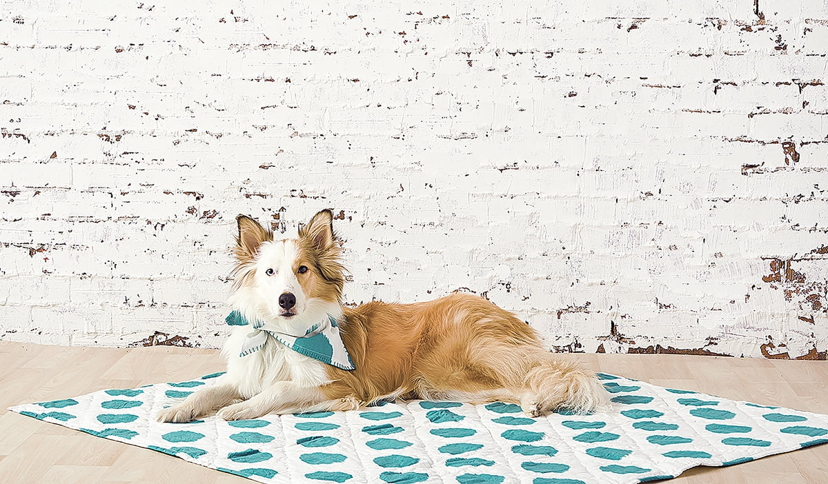 Pet Dog Or Cat Quilt Blanket Bed Dot Pattern Lagoon